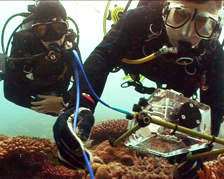 Anita Justin specto UW 2 Liquid Motion®: Award-Winning Underwater Film Producer; Professional Underwater Film, Videography, Cinematography, Photography & Art