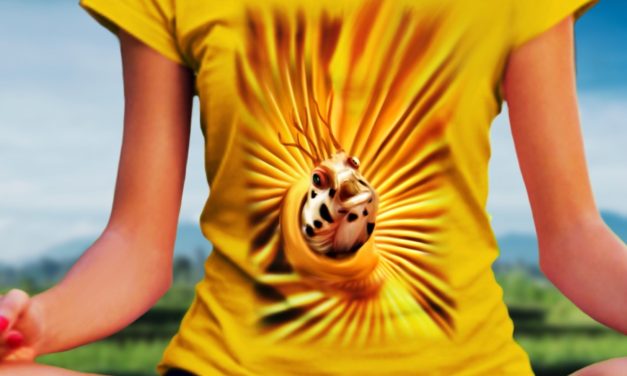 Award-Winning Ocean Clothing Line!