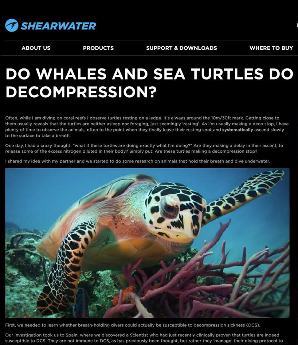 SHEARWATER sponsors Liquid Motion® and publishes article
