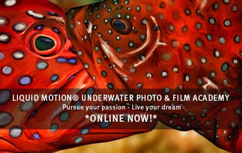 How to make better Underwater Videos