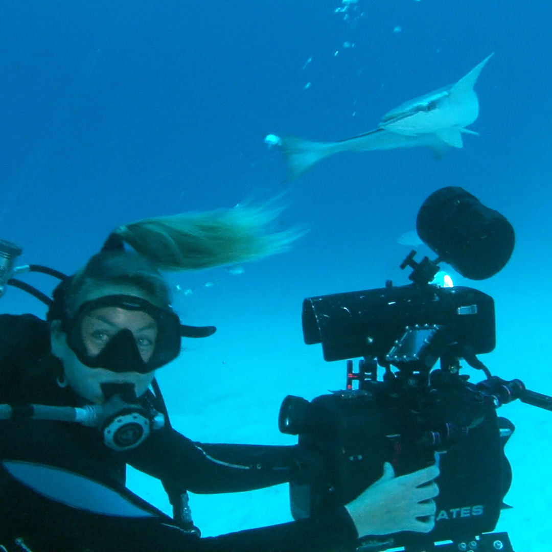 What is the best underwater camera?