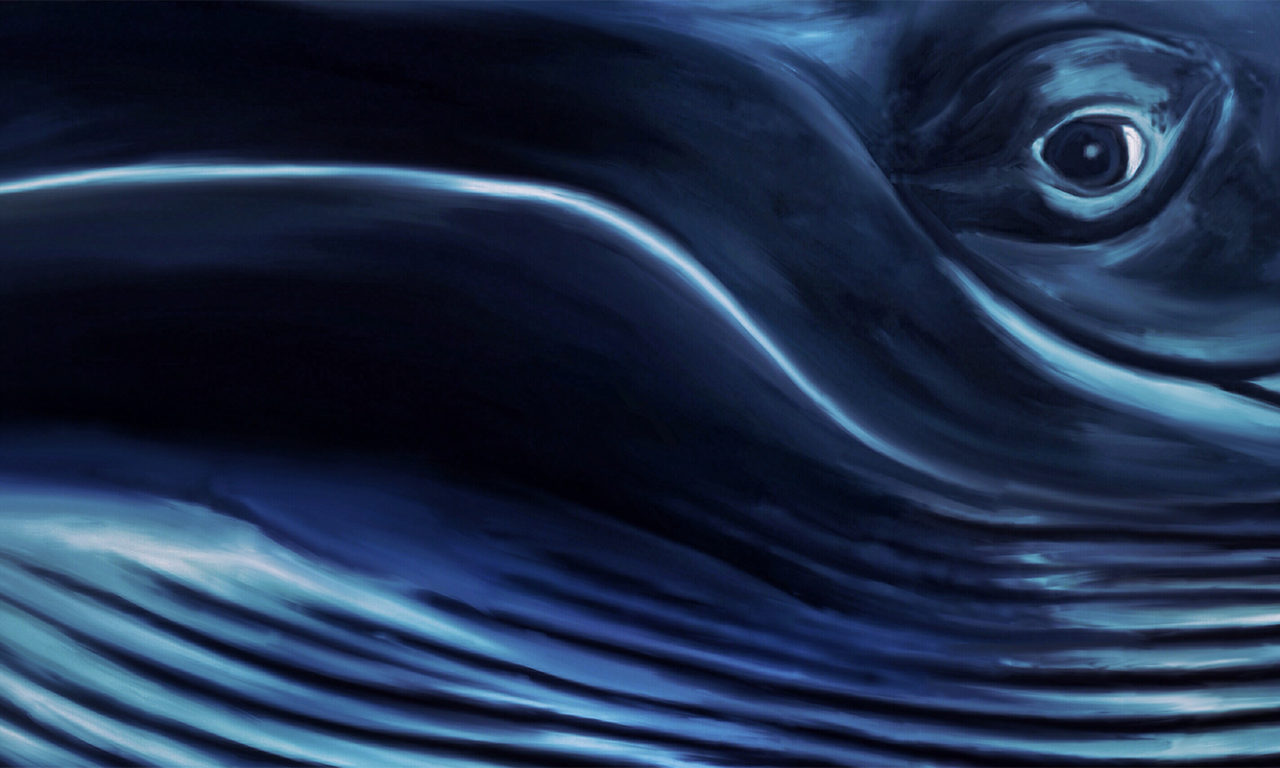 ART-OCEAN-ART
