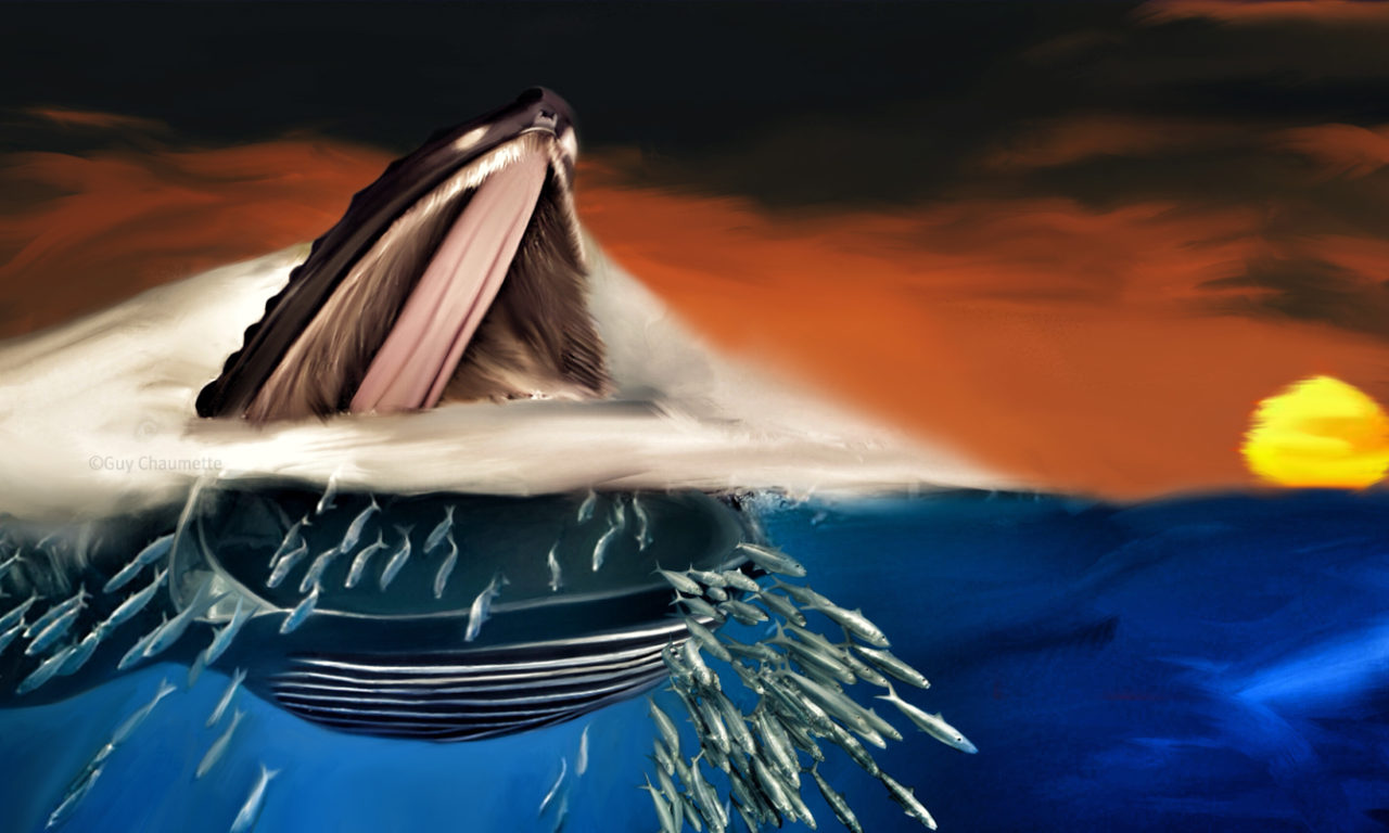 ART-OCEAN-ART