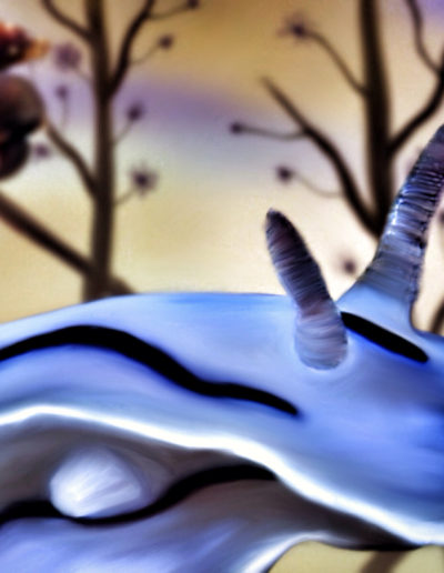 Liquid Motion Fine Art - ocean art - Nudi pygmy