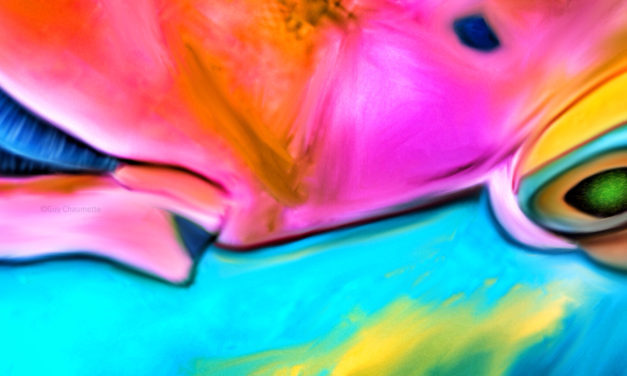 Ocean Eyes – Incredible Fine Art – Ocean Art Photography