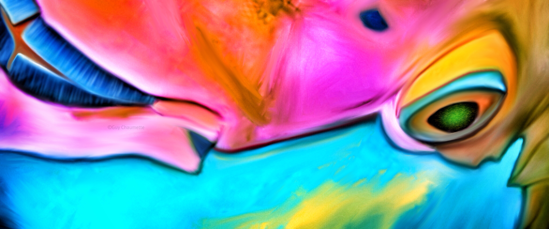 Liquid Motion Fine Art - Ocean Art - Parrot glow