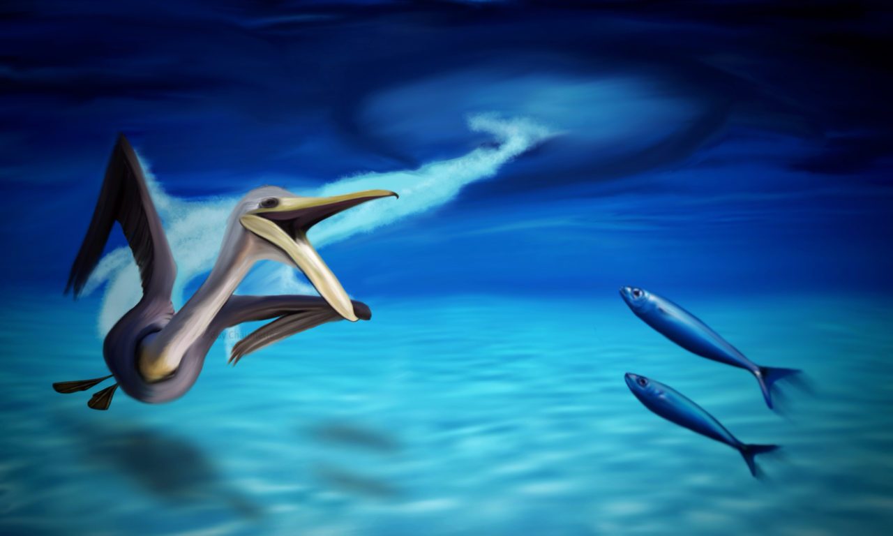 ART-OCEAN-ART