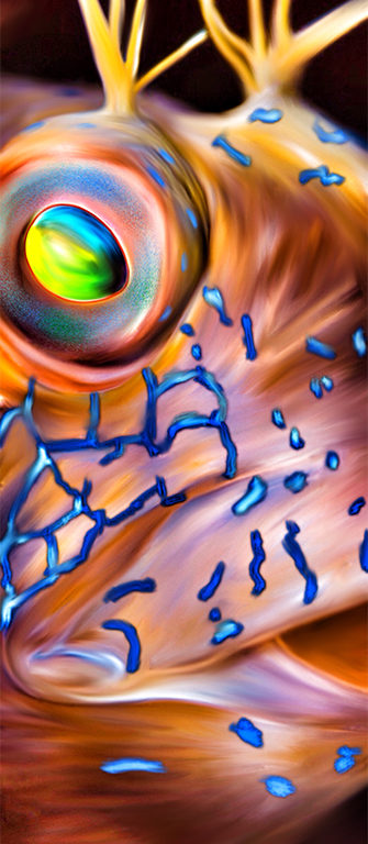 Ocean Eyes – Incredible Fine Art – Ocean Art Photography