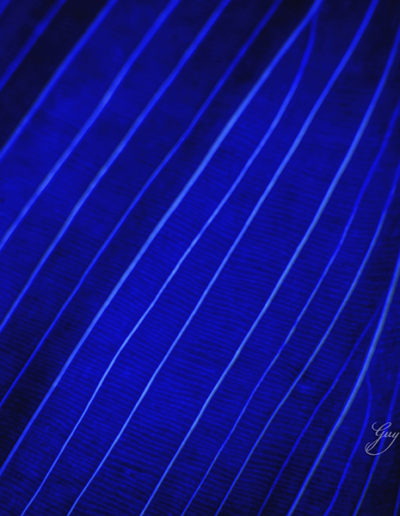 Guy Chaumette Fine Art - Abstract Art - Deep pool