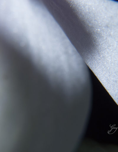 Guy Chaumette Fine Art - Abstract Art - Edgy