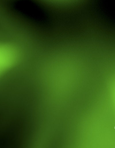Guy Chaumette Fine Art - Abstract Art - Green depth