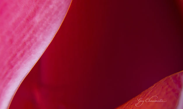 Passion – Passionate Fine Art Photography & Ocean Art