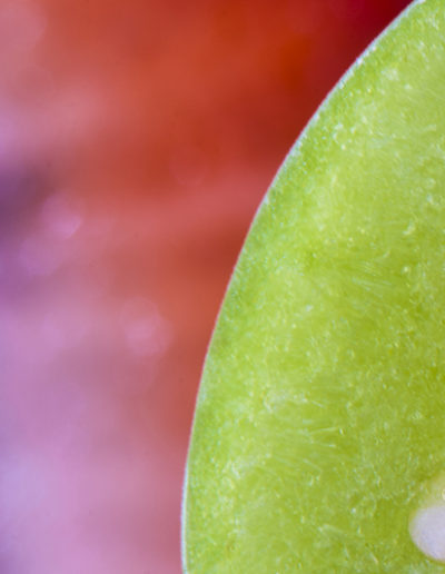 Guy Chaumette Fine Art - Abstract Art - Sorbet