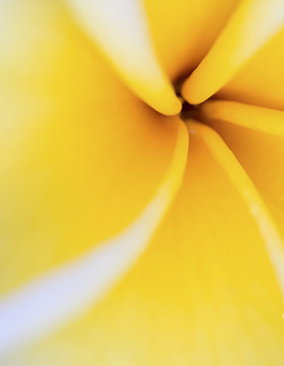 Guy Chaumette Fine Art - Abstract Art - Syphon