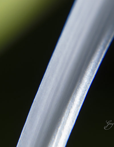 Guy Chaumette Fine Art - Abstract Art - White blade