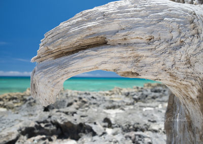 Fine Art - islands - Deadwood