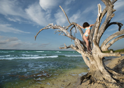 Guy Chaumette - Fine Art - Fashion - Islands - Girl in tree progressive