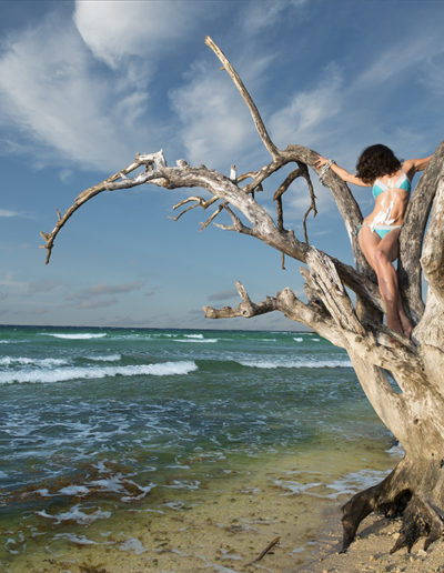 Guy Chaumette - Fine Art - Fashion - Islands - Girl in tree progressive