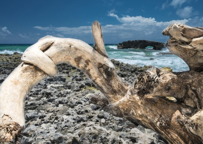 Fine Art - Guy Chaumette - islands - Wildside